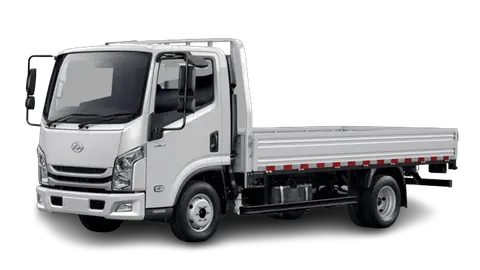 Maxus C100