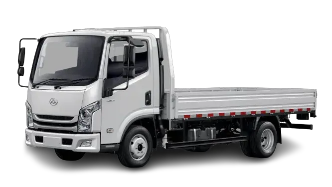 Maxus C100