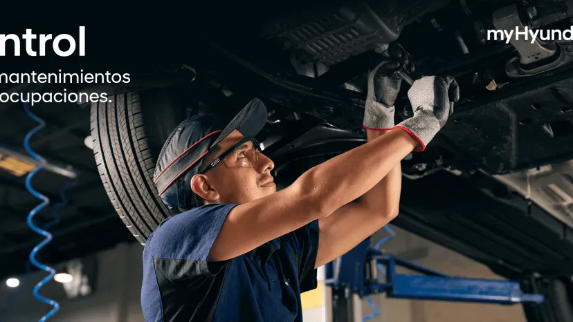 Hyundai banner 3